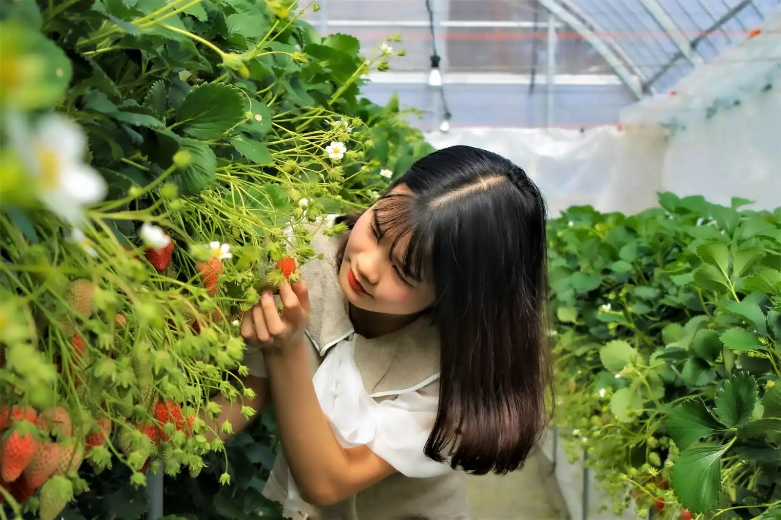 智能家居市场趋势预测：基于用户行为数据的竞争格局分析