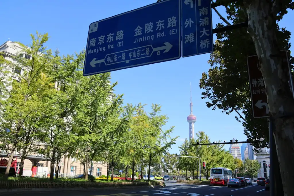 2024年消费市场趋势预测：品牌如何基于消费者洞察报告优化竞争策略